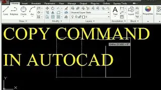 #Copy