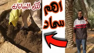 اهم سماد فى السنة لكل النباتات || لا يمكن الاستغناء عنه ابداً