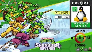 Teenage Mutant Ninja Turtles: Shredder's Revenge (Linux) on Athlon 3000G Vega 3