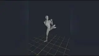 маваши-гери
