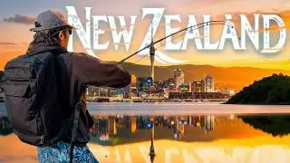 7 Days Fishing New Zealand’s Most Urban City | Auckland