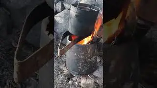 Саныч - любитель щепочниц! 