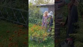 До скорой встречи. #shorts #shortvideo #лето #дача #приколы #юмор #смех #шутка #ржака #природа