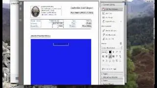 Custom PDF