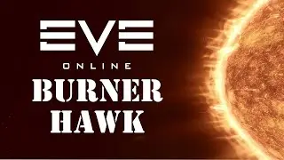 Team Burner Hawk - Caldari Agent - 2020 (Cheap and Easy) - Eve Online