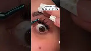 STEP BY STEP