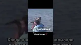 Немного юмора
