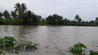 Nivar cyclone Flooding Roads and Fields