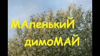 Димомай/Вышивка/Старт нового набора/Обзор