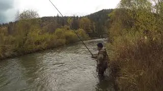 СИСИМ. Ленок взял