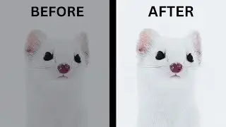 5 Deadly Mistakes That Wrecks Photo Quality