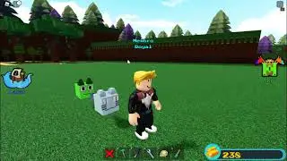 pet simulator x in build a boat