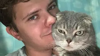 Кормлю свою кошку Нюшку.