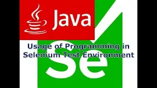 Usage of Programming in Selenium Test Environment