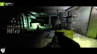 True Stalker - Battle Royal #30 (Полное прохождение)