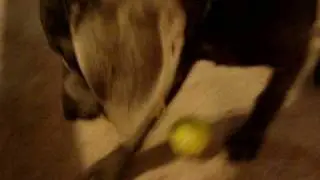 baloo ball