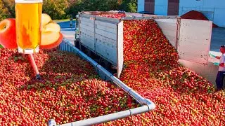 How Apple Juice is Made
