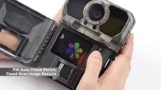 Wireless 4G Trail Camera With Free Android And IOS APP Control