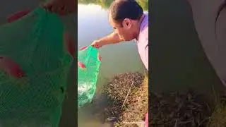 17 мая 2023 г.