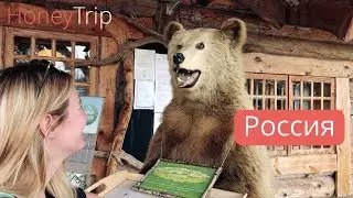 Русская кухня: Сергиев-Посад, Ярославль, Кострома, что попробовать из русской кухни