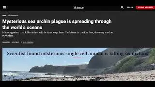 Sea urchin Plague is spreading through oceans #biology #biologyclass12