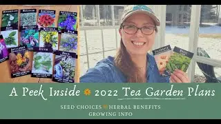 2022 Tea Garden Plans :: Growing From Seed & Herbal Benefits