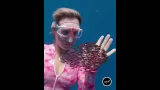 животный мир.)