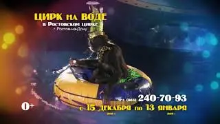 Цирк на воде Ростов