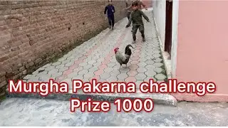 Desi Murgha Khud Kat Kar Khaya | Desi Murgha Nay Bht Bhagaya Us Ko Kha Kar Maza Aya wah😂