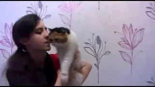Будем Знакомы Или `"*°•.✿ 25 Фактов Обо Мне ✿•°*"`