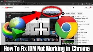 How to fix IDM not working in the Chrome Browser (6 Solutions)