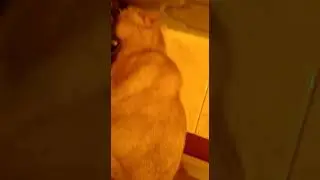 7 октября 2018 г.