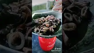 MY COOK