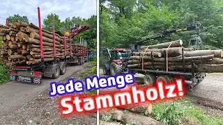 Lots of wood! | Log transport | How could anyone forget that?🤦🏻‍♂️