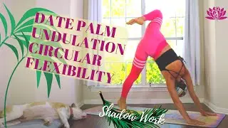 Palm Date Yoga | Undulation Circular Flexibility Movement | Shadow | Ali Kamenova Yoga