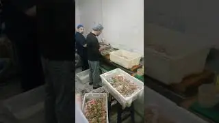 Елена Летучая