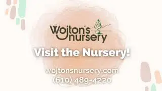 Wojton's Nursery