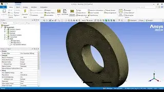ANSYS Fluent Tex-Quad/Tri Meshing of a 3D Mechanical Washer