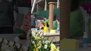 11 марта 2024 г.