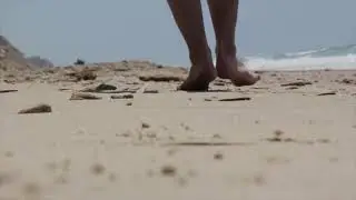 Beach Videos Free Stock / No Copyright