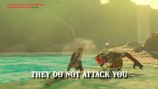 Brand New Friendly Bokoblin Glitch (Breath of the Wild)