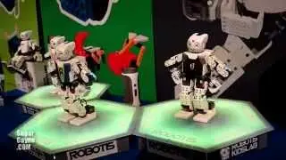 Robotis Darwin-Mini Robot Demo