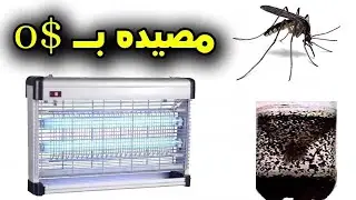 كيف تصنع مصيدة للذباب والناموس رهيبة جداا بدون تكلفه  | Fly and mosquito trap