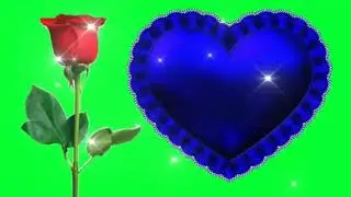 Flowers green screen effects rose green screen. Heart's effects green screen effects rose green s