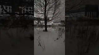 ☦️ Странная находка в поле 