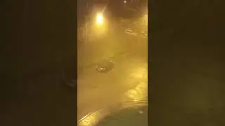 23 августа 2024 г.