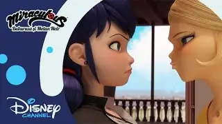 😲 Un hoț?  | Miraculos: Buburuza și Motan Noir | Disney Channel România