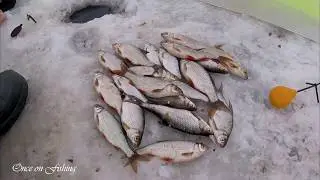 Рыбалка Плотва Лед Зима 2019 Беларусь Минское море Fishing Roach