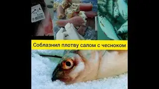 Рыбалка на забытом карьере из детства.Бешеный клев окуня.Плотва любит сало.Зимняя рыбалка Дзержинск.