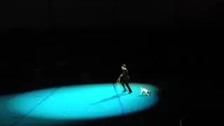 Dancing Dog 2